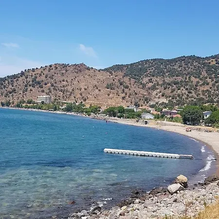 Sweet Horses St6 * Didim